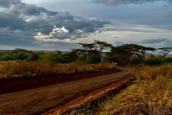 ahmed-qinawy-23J8Ar8HHGY-unsplash