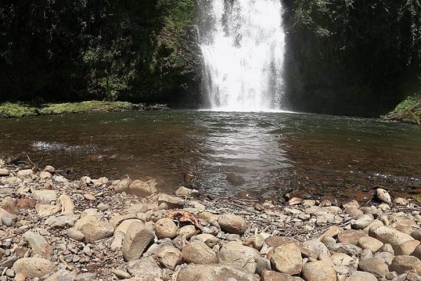 kimakia-e1748513361402